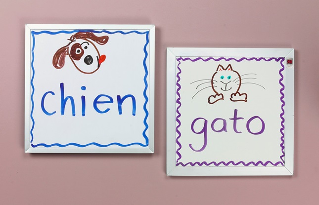 New Words With Bright Colors! lesson plan