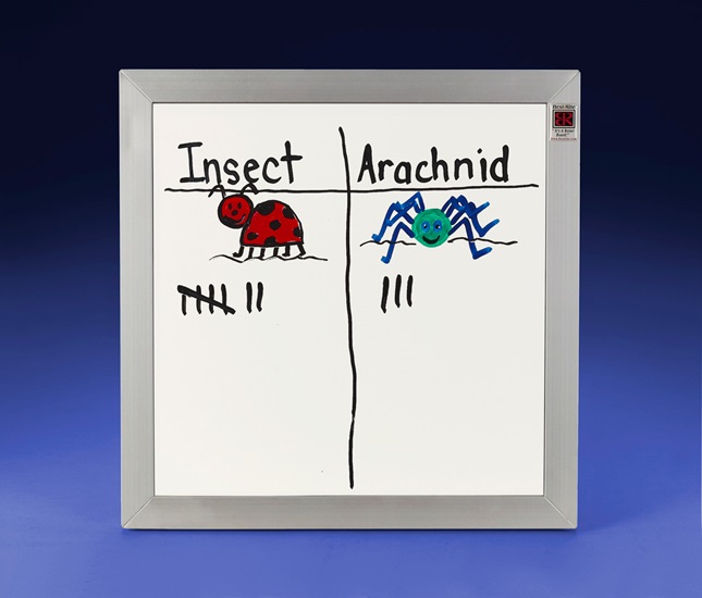 Insect or Arachnid? lesson plan