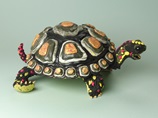Tortoises--Bones on their Backs lesson plan