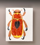 Intriguing Insects lesson plan