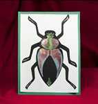 Iridescent Insects lesson plan