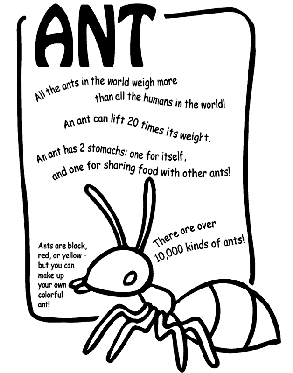 Ant Coloring Page Ant crayolacouk