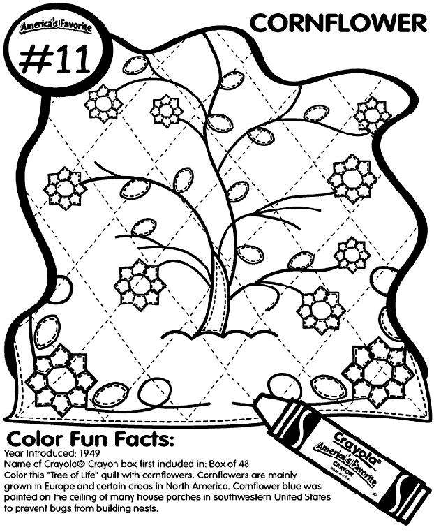 No.11 Cornflower coloring page