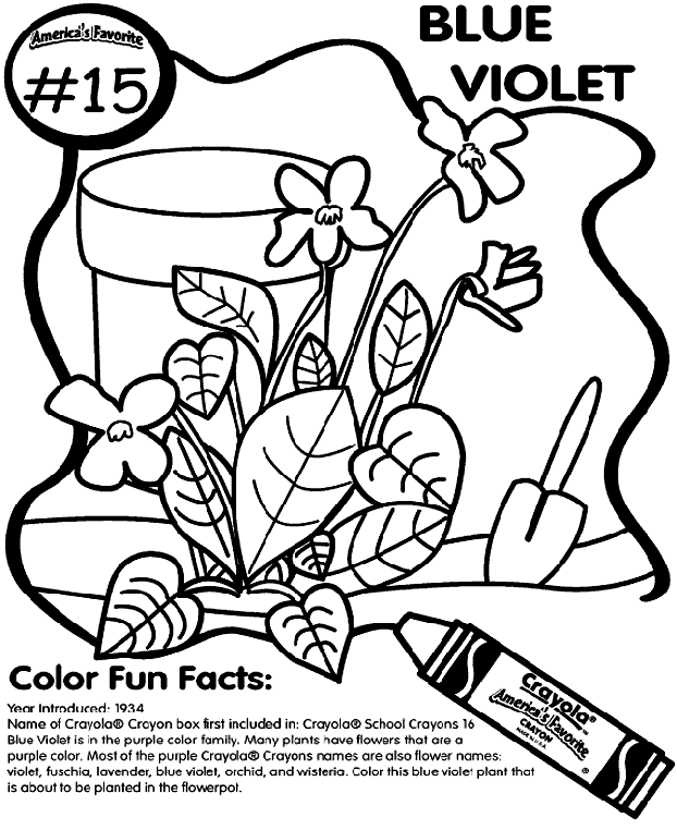 No.15 Blue Violet coloring page