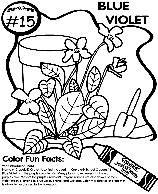 No.15 Blue Violet coloring page