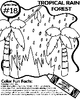 No.18 Tropical Rain Forest coloring page