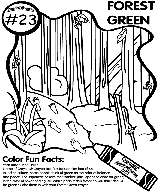 No.23 Forest Green coloring page