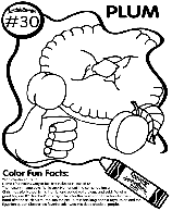 No.30 Plum coloring page