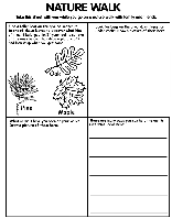 Nature Walk coloring page