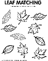 Leaf Matching coloring page