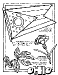 Ohio coloring page