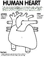 Human Heart coloring page