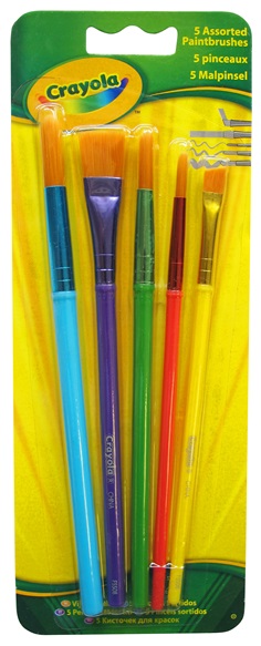 5 Assorted Paint Brushes