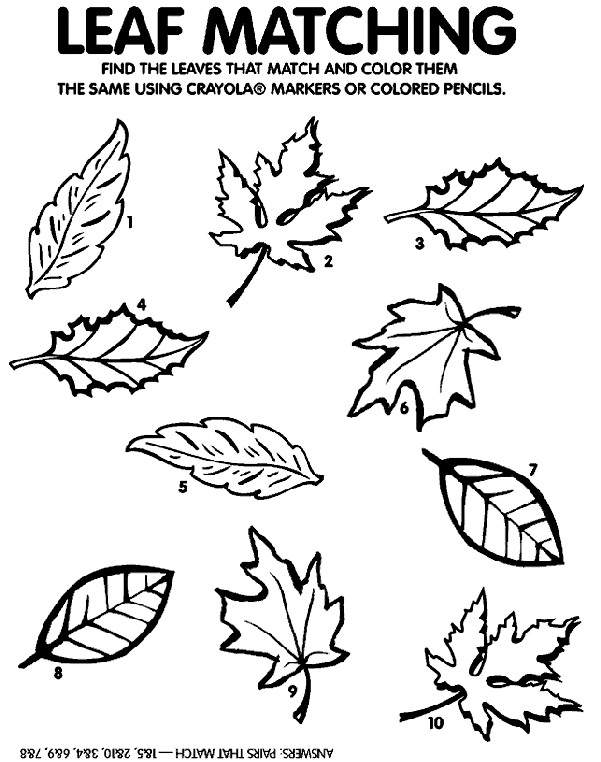 Leaf Matching Game coloring page